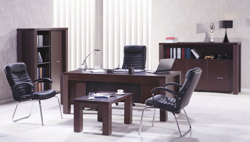 Alpaka Ofis Dekorasyonu - 