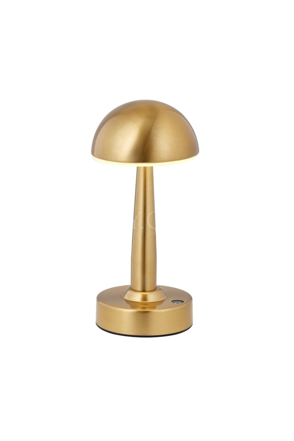 Luxury - AVONNI ML-64004-EL Eskitme Lak Masa Lambası LED Metal Pleksi 11cm