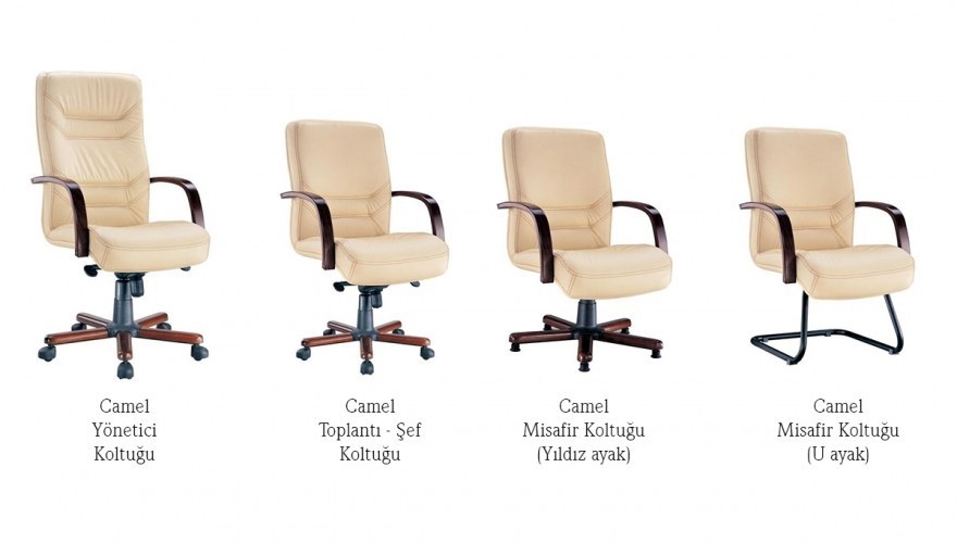 Camel CEO Desk Office - 