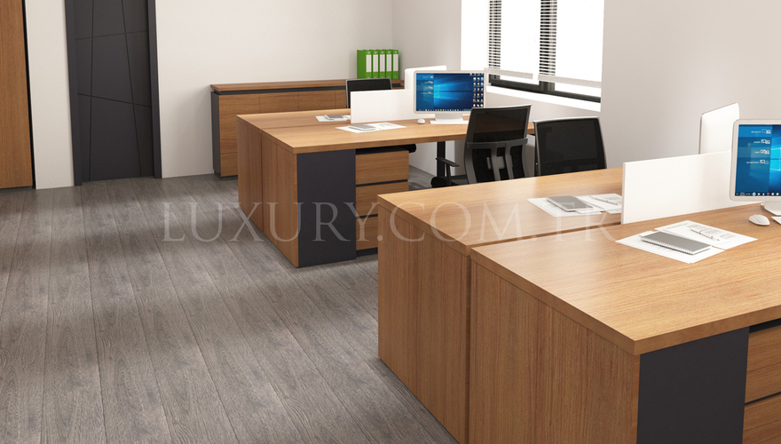 Dameras Украшение Офис - 5