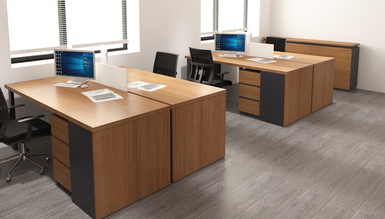 Dameras Украшение Офис - 1028