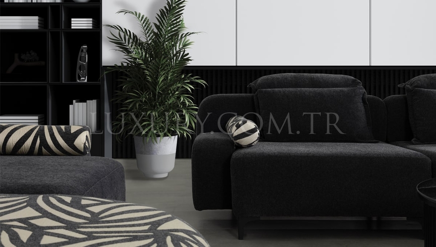 Fidelya Modern Living Room - 6