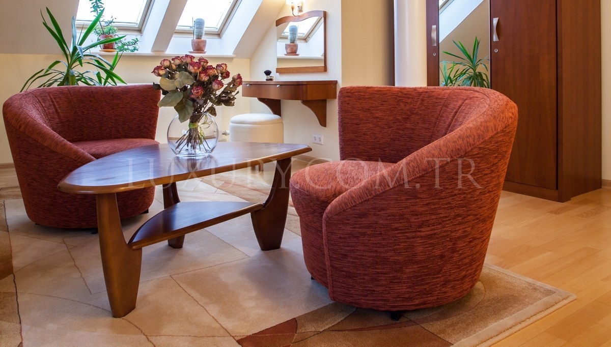 Janessa Armchair Model - 