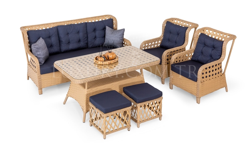 Ladissa Garden Sofa Set - 1