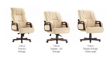 Odeon CEO Desk Office - 