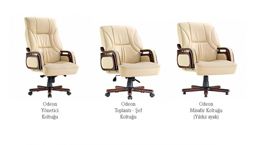 Odeon CEO Desk Office - 