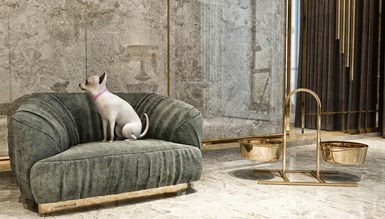 Paşa Luxury Köpek Koltugu