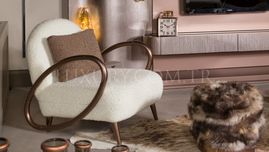 Petalya Modern Living Room - 4