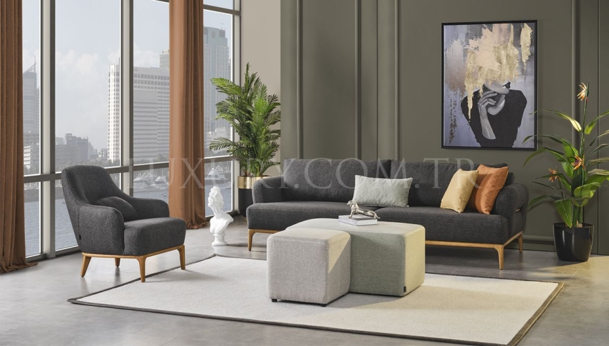 Picasso Modern Sofa Set - 3