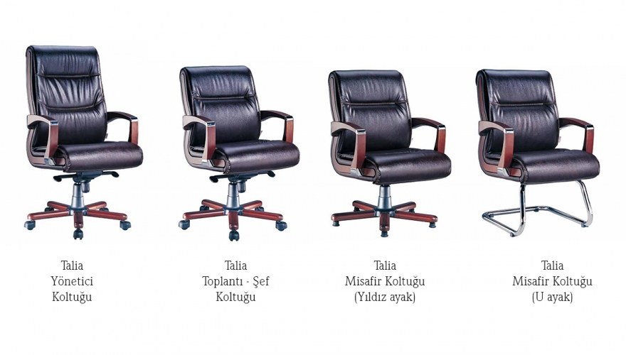  - Talia CEO Desk Office