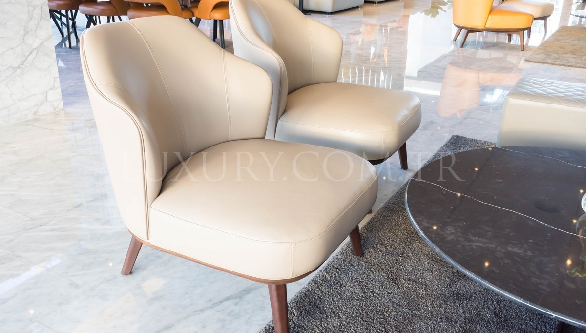 Zanos Berjer Modeli - 